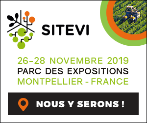 Sitevi2019 300X250